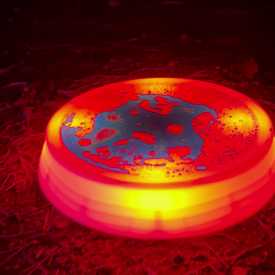 Round LED Liquid Sensory Stepping Stone